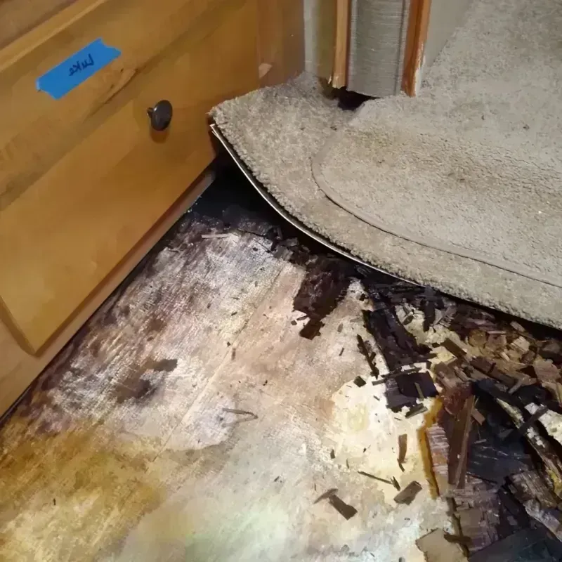 Best Wood Floor Water Damage Service in Bradford, TN